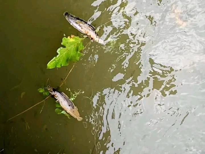 Lubumbashi : la pollution des eaux acides ravagent la rivière et menacent la population