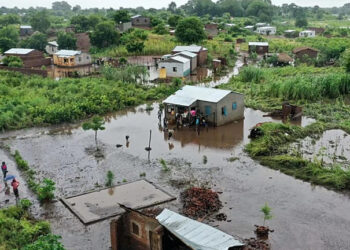 Mozambique : les inondations font surgir des crocodiles en ville