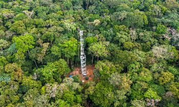 RDC : Yangambi érigée en modèle mondial par l’UNESCO, consécration historique pour la forêt congolaise