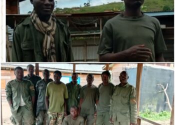 Sud-Kivu : « Nous avons choisi la paix » — 11 ex-combattants déposent les armes à Bunyakiri
