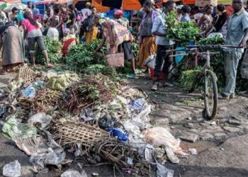 Journée mondiale de la sécurité sanitaire des aliments : Kinshasa face à la bombe sanitaire de ses marchés