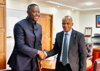 Interconnexion RDC-TANZANIE: Teddy Lwamba à Dar es Salaam pour la relance du projet de ligne électrique de 400 kV