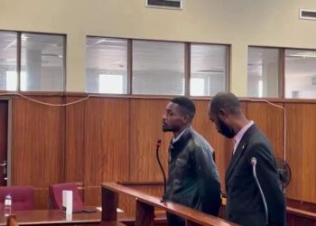 Afrique du Sud : deux membres du cabinet de la Défense congolaise interpellés en marge du sommet de la SADC