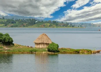 CHRONIQUE DE CLBB/À LA DÉCOUVERTE DES 26 PROVINCES DE LA RDC Épisode 2 — Le Sud-Kivu : entre montagnes, grands lacs, café, minerais et biodiversité exceptionnelle