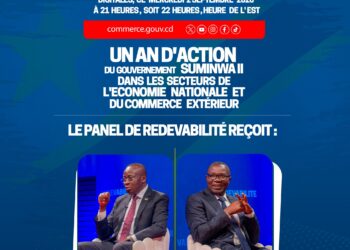 Gouvernement Judith Suminwa : regroupement de bluffeurs ou analphabètes en économie politique ?