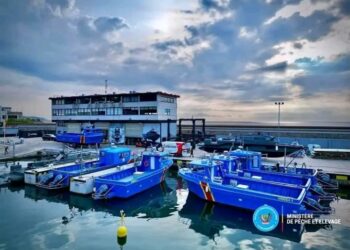 RDC : les bateaux de pêche acquis par l’État jugés inadaptés aux eaux congolaises