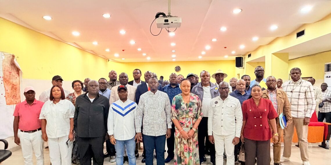 Délestage à Kinshasa : Teddy Lwamba mise sur la collaboration avec les élus