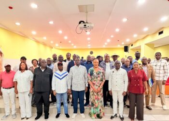Délestage à Kinshasa : Teddy Lwamba mise sur la collaboration avec les élus