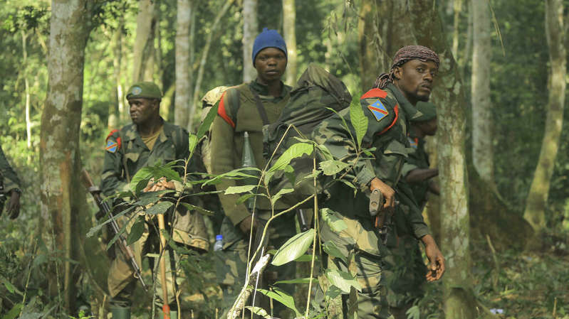 RDC: les armées congolaise et ougandaise unissent leurs forces pour traquer les ADF